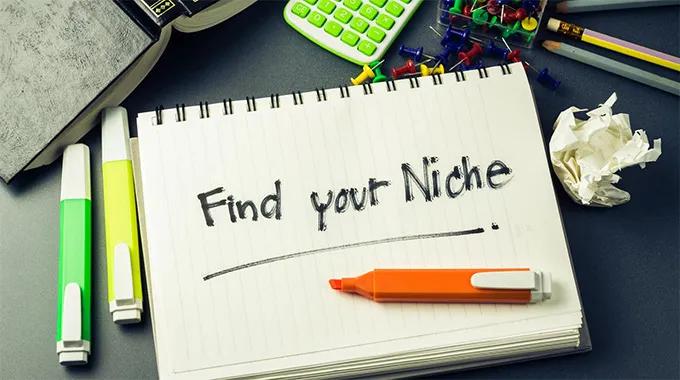 Advantages of Choosing a Niche