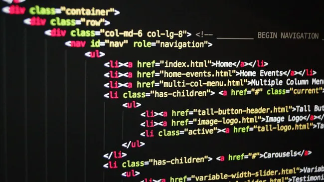 Internal linking shown as lines of computer code.