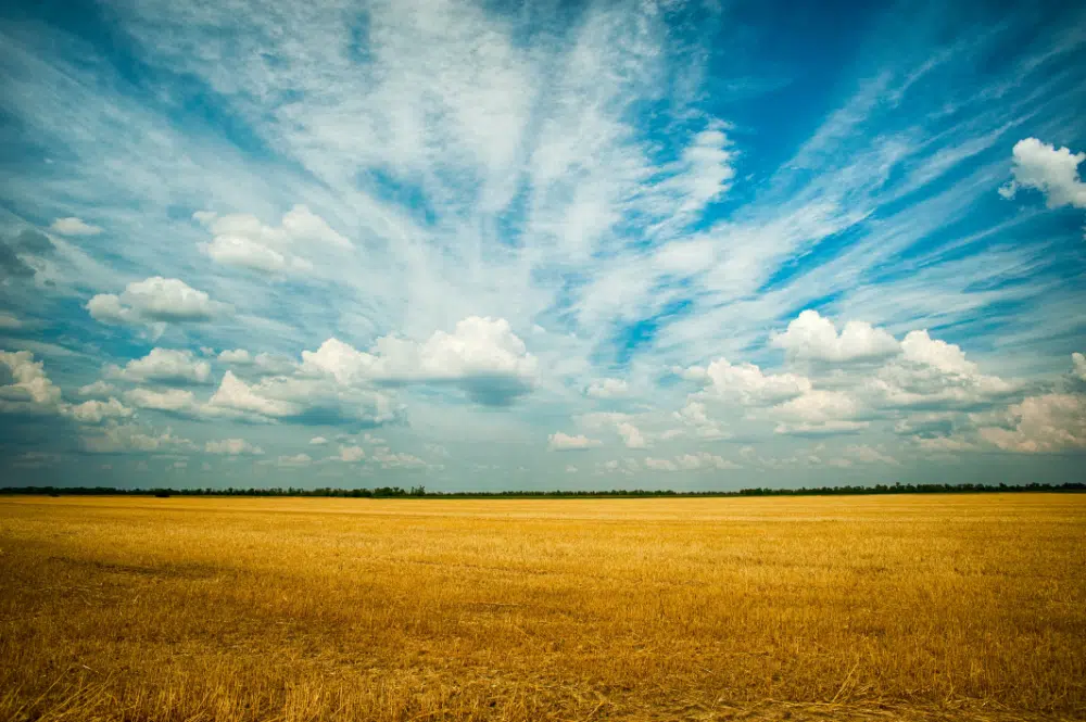 Fundos de céu incríveis gratuitos para designers: céu sobre campo de grama