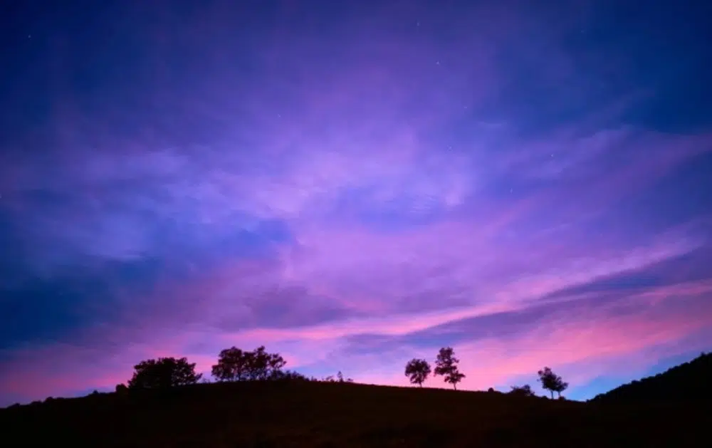 Fundos de céu incríveis gratuitos para designers: silhuetas de árvores sob o pôr do sol