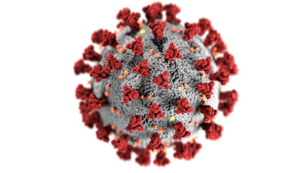 面向医疗保健设计师的免费设计资产：Corona Virus Image