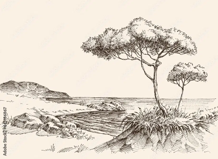 Árbol en la orilla del mar - Dibujo a mano