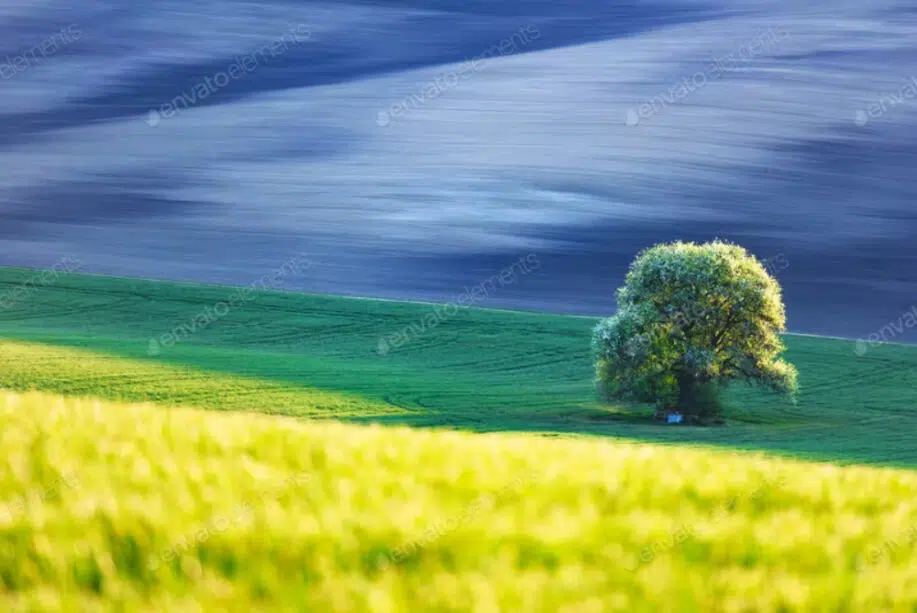 Das erste von 40 besten Baumbildern: Abstrakte ländliche Landschaft mit Baum