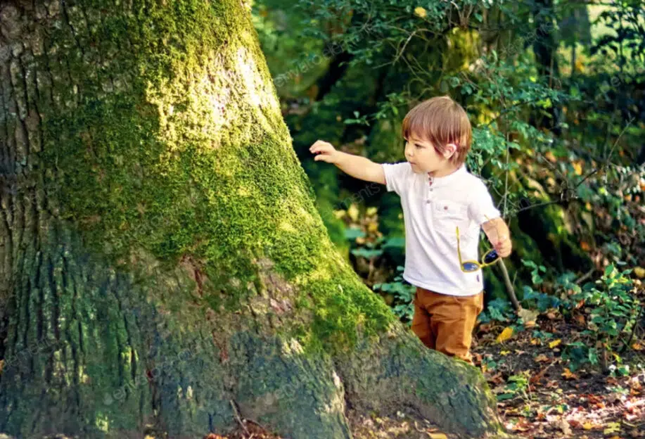 Netter kleiner neugieriger Junge, der alten Baum berührt