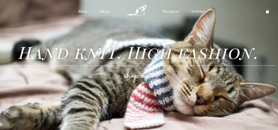 Exemple d'image de héros de site Web : Catscarf