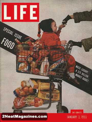 couverture du magazine life panier nourriture question design