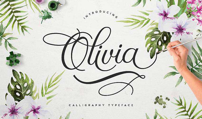 ฟรี แบบอักษร การประดิษฐ์ตัวอักษร วิชาการพิมพ์ สคริปต์ Olivia Script