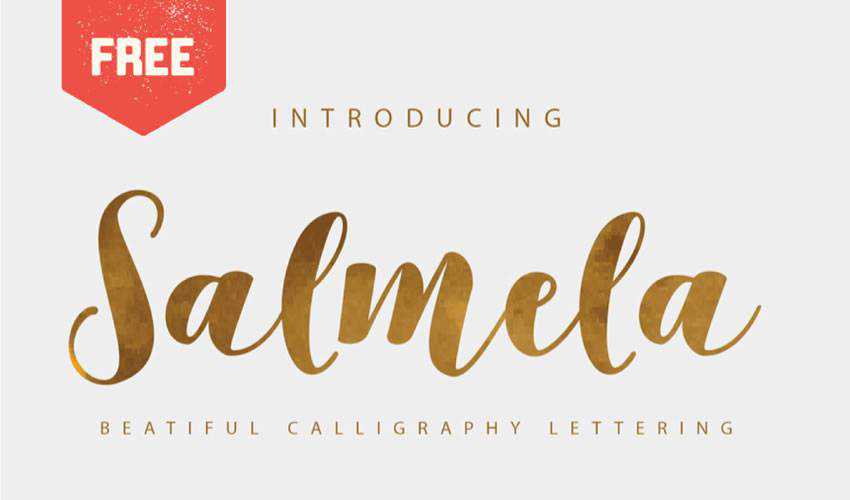 darmowe czcionki kaligrafii skrypt typografii Salmela Calligraphy