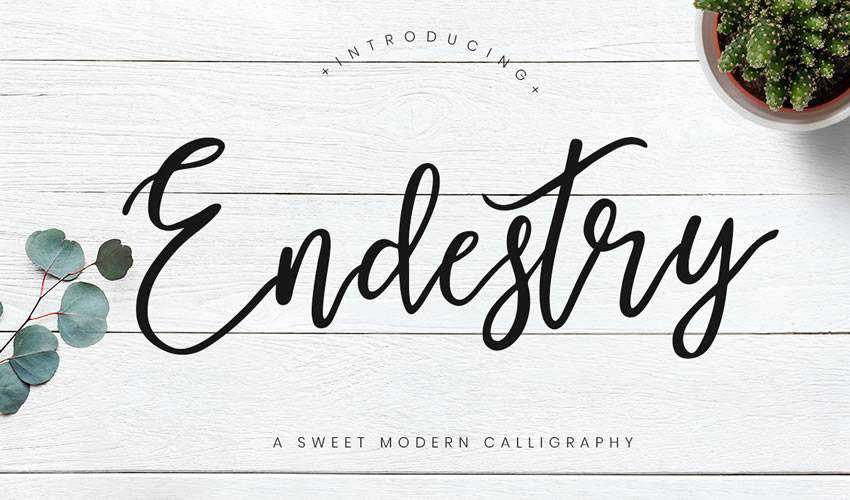 แบบอักษรฟรี การประดิษฐ์ตัวอักษร วิชาการพิมพ์ สคริปต์ Endestry Modern