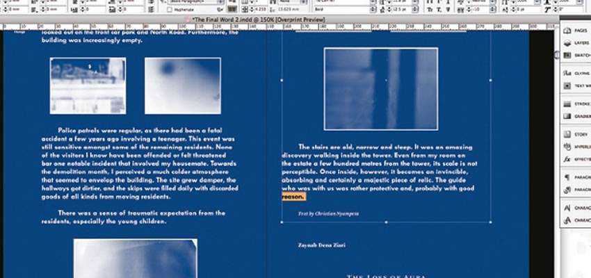 Entwerfen Sie unverwechselbare einfarbige Layouts in Adobe InDesign