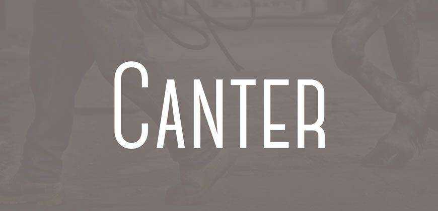 Canter フリー クリーン フォント書体