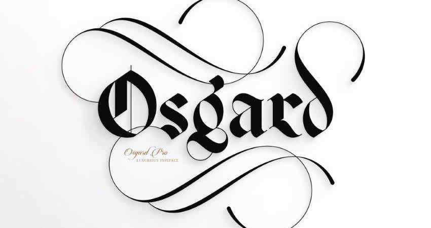 Serif Free Font Designers Creatives Osgard Pro