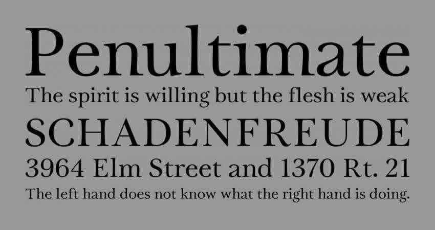 Serif Free Font Designers Creatives Tryst Tipo de letra normal