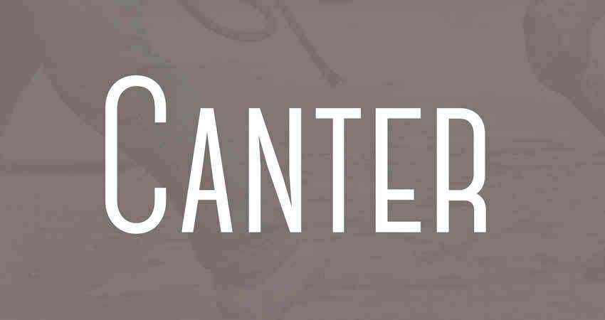 Sans Serif นักออกแบบฟอนต์ฟรี ครีเอทีฟโฆษณา Canter Sans Serif