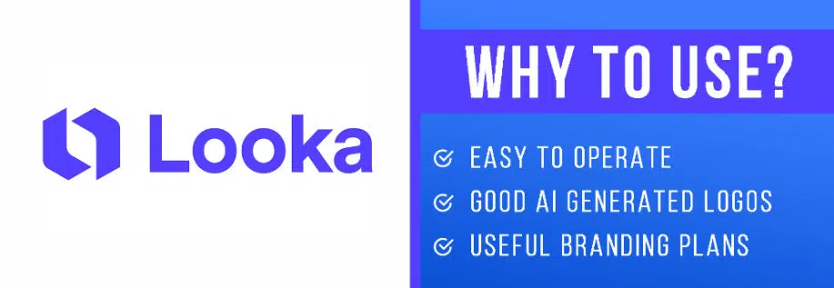 Looka Branding & Pembuat Logo