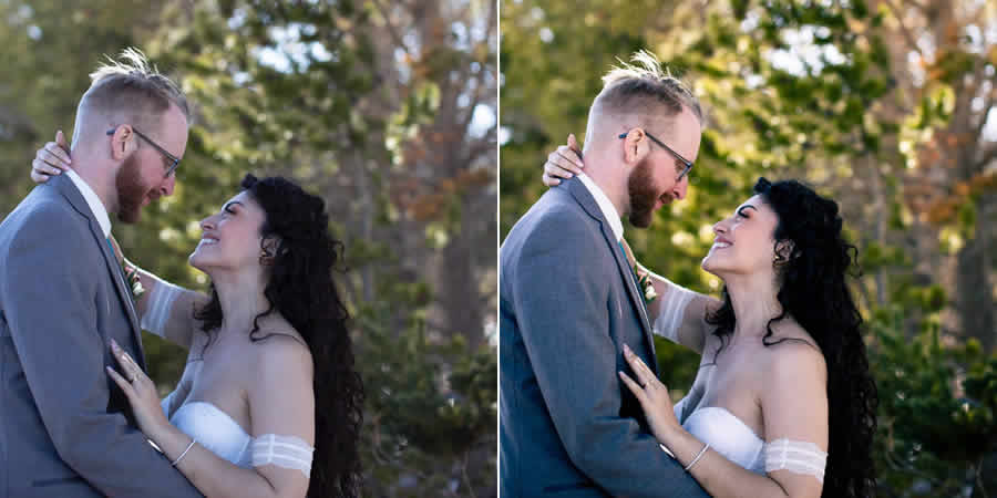 Une vie devant le préréglage Lightroom de mariage gratuit