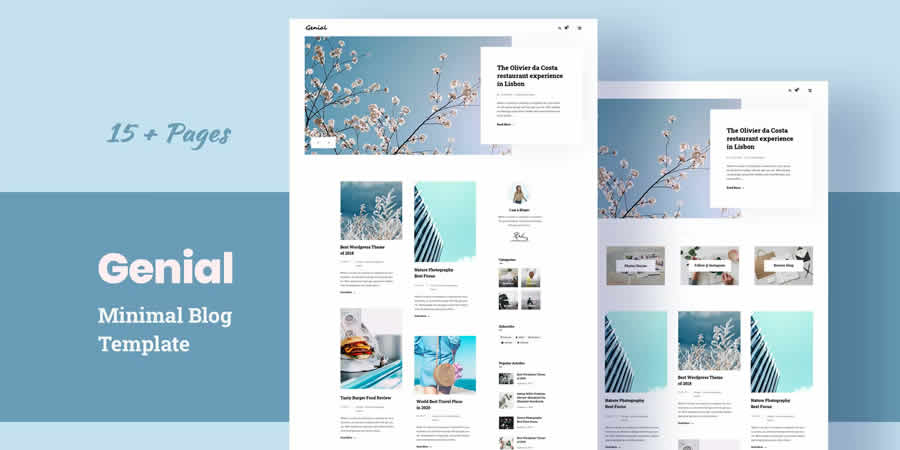 Genial Minimal Blog Plantilla web HTML CSS receptiva gratuita