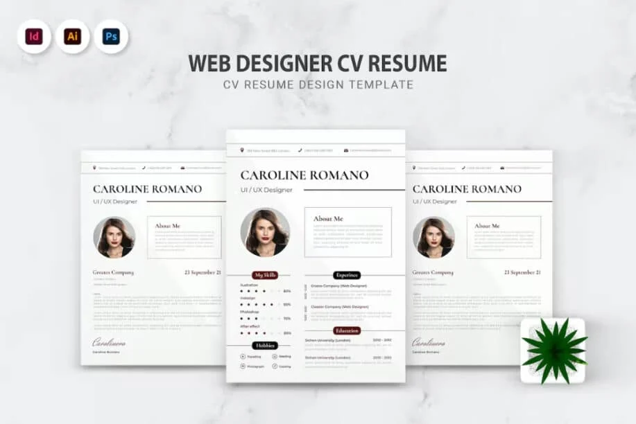 CV Web Designer CV