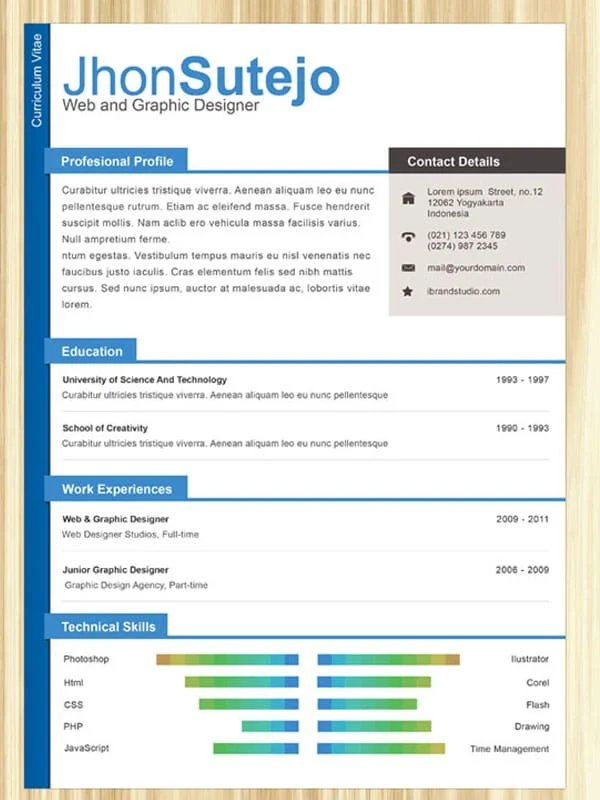 Resume Satu Halaman Profesional